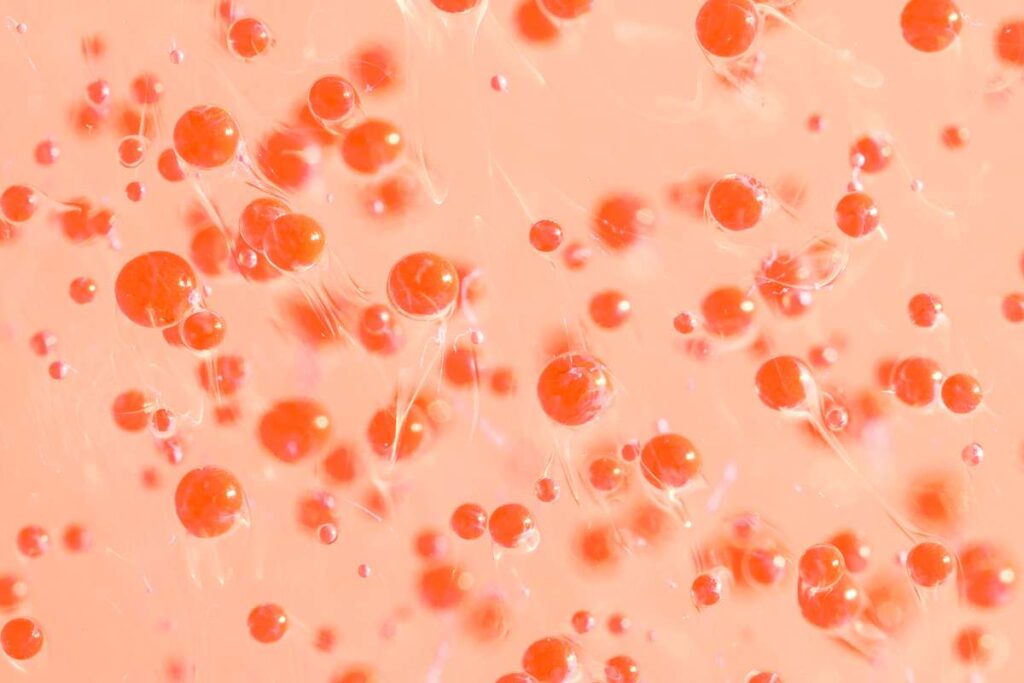 Autofagia w organiźmie